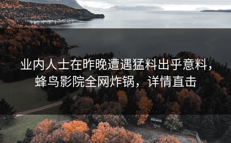 业内人士在昨晚遭遇猛料出乎意料,蜂鸟影院全网炸锅,详情直击 业内人士在昨晚遭遇猛料出乎意料,蜂鸟影院全网炸锅,详情直击